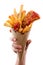 French fries and batter fish. Hand holding a dish wrapped in a paper cone