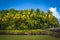 French Guiana, Salvation Islands. View of Devil\\\'s Island from Ile Roya