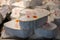 French heartshaped neufchatel cow cheese for sale in farmers dairy shop, french text on lables means Neufchatel cheese, made from