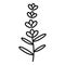French herbal flower icon, outline style