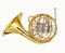 French horn, brass musical instrument