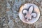 French lily in a round metal shape, on gravel