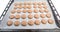 French Macaron Cookies III