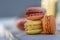 French macarons in the summer evening in the garden. Delicious sweet airy colored French pastries. Shallow depth of field.