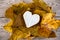 French Neufchatel cheese shaped heart on autumn leaves