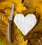French Neufchatel cheese shaped heart with knife on autumn leave