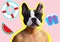 French pit-bull dog with topless human body in collage summer stuff buoy watermelon funny travel vacation background