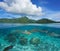 French Polynesia island seascape sharks underwater