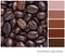 French Roast Coffee Palette