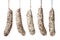 French Sausages hanging on a string