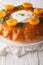 French Savarin cake decorated with apricots and mint close-up. v