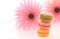 French sweet delicacy macaroons variety colorful and different types sweet macarons on white plate with blurred pink flower