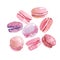 French sweets. pink color vanilla assorted macarons.