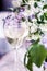 french white wine - winery, fine dining and celebration concept