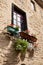 French window with flowers