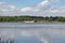 Frensham pond in Surrey