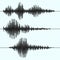 Frequency seismograph waves, seismogram, earthquake graphs. Seismic wave vector set