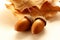 Fresh acorns with dried leaves