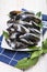 Fresh and alive mussels for cooking