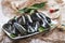 Fresh and alive mussels for cooking