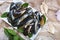 Fresh and alive mussels for cooking