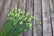 Fresh Allium tuberosum vegetables on wood background