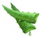 Fresh aloe vera. Realistic green leaves slices, aloe vera juicy drops, medicine plant and natural component isolated