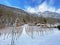 Fresh alpine snow in the vineyard above the subalpine Lake Walen or Lake Walenstadt Walensee and at the foot of the Churfirsten