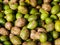 Fresh Ambarella fruit on display for sale in the local Indonesian market