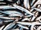 Fresh anchovies closeup