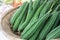 Fresh Angled loofah, Angled Gourd (Luffa acutangula Roxb.) fruit