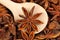 Fresh anise-star with wooden spoon, nature spice background