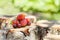 Fresh and appetizing strawberries with red cherries on wooden log.