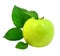 Fresh apple with green leafs