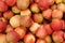 Fresh apples background texture, lots of apple fruits