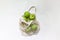 Fresh apples in a string bag, eco-friendly product on a light background.