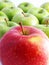 Fresh apples on a white background