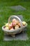 Fresh apples in a wooden trug