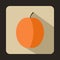 Fresh apricot icon, flat style