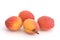 Fresh apricots