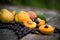 fresh apricots, black currant in a glass bowl transparent scattered on the old wooden tabletop