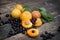 fresh apricots, black currant in a glass bowl transparent scattered on the old wooden tabletop