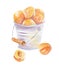 Fresh apricots illustration. Hand drawn watercolor on white background.