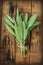 Fresh aromatic sage on old wooden background