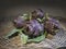 Fresh artichokes in circular composition