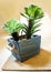 Fresh Artificial Flowers and Plants in wooden pot colur Blue