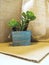 Fresh Artificial Flowers and Plants in wooden pot colur Blue