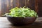 Fresh arugula in a clay dish