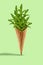 Fresh arugula leaves in a wafer cone against light green background. Healthy nutrition, seasonal vegetables harvest