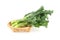 Fresh asian kale in basket on white
